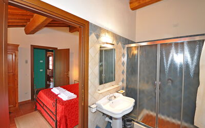 Accommodatie:&nbsp;Falco