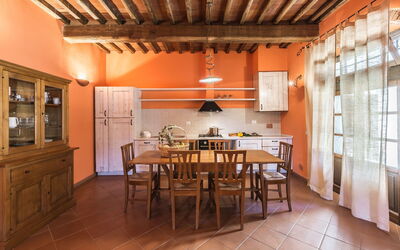Accommodatie:&nbsp;Poiana