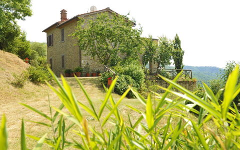 Casetta i Ciliegi: Fabriek, Lucht, Plantengemeenschap, Gebouw, Venster, Boom, Natuurlijk Landschap, Land Lot, Vegetation, Huis