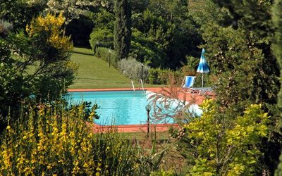 Le Colline: Water, Zwembad, Boom, Plantkunde, Tuin, Meer, Vrije Tijd, Botanische Tuin, Landschap, Huis