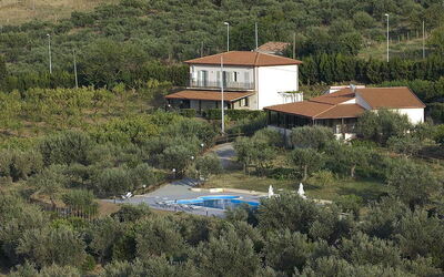 La Collina Degli Ulivi