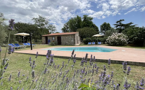 Funghi 1: Wolk, Fabriek, Lucht, Water, Bloem, Zwembad, Boom, Gras, Natuurlijk Landschap, Vrije Tijd