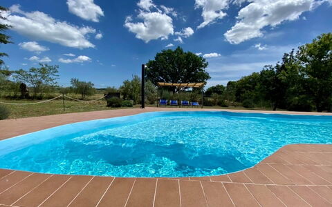 Funghi 2: Water, Lucht, Wolk, Watervoorraden, Zwembad, Fabriek, Azure, Rechthoek, Boom, Schaduw