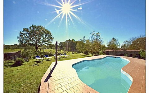 Funghi 2: Water, Lucht, Fabriek, Natuur, Azure, Zwembad, Gras, Boom, Schaduw, Rechthoek