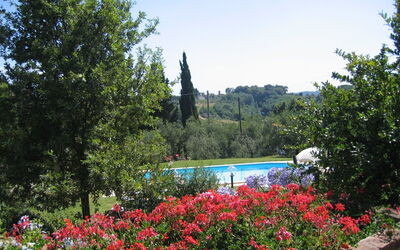 Accommodatie:&nbsp;Rosmarino