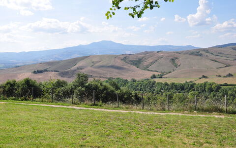 Le Querce Di Campocane: Grasland, Bergachtig Landvormen, Heuvel, Natuurlijke Omgeving, Pasture, Hoogland, Berg, Lucht, Natuurlijk Landschap, Plain