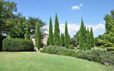 Le Querce Di Campocane