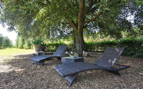 Villa Lorian: Boom, Meubilair, Blad, Gras, Gemeentepark, Tafel, Buitenmeubels, Fabriek, Werf, Recreatie