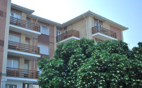 Marina Di Castagneto: Woongebied, Eigendom, Huis, Gebouw, Onroerend Goed, Huis, Buurt, Appartement, Architectuur, Condominium
