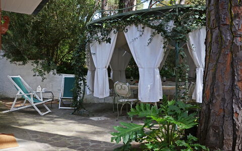 Villa Pineta: Meubilair, Stoel, Buitenmeubels, Schaduw, Tuin, Buitentafel, Outdoor Structuur, Backyard, Werf, Patio