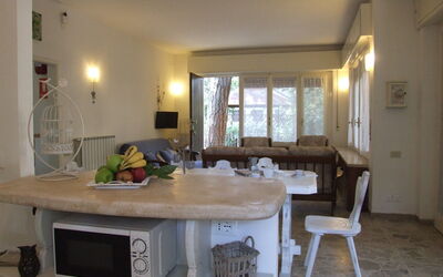 Accommodatie:&nbsp;Azalea