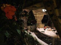 Accommodatie:&nbsp;Camelia